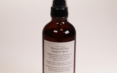Horsetail Hair Support Spray 100 mL glass bottle